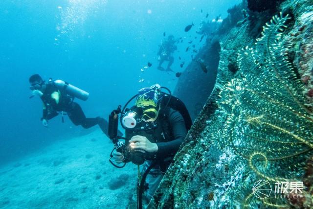 医疗器械说明书、标签含有误导性内容,云南可静生物科技有限公司被罚1万