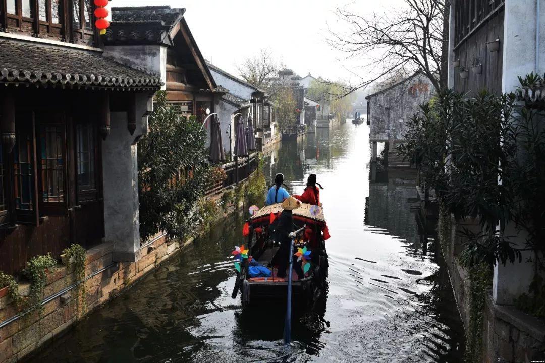 救援卷耳兔