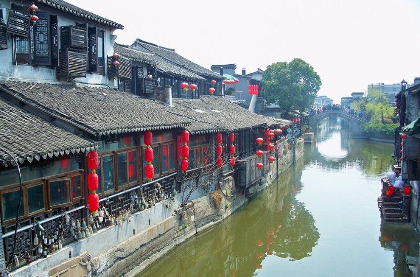 植物大战僵尸8